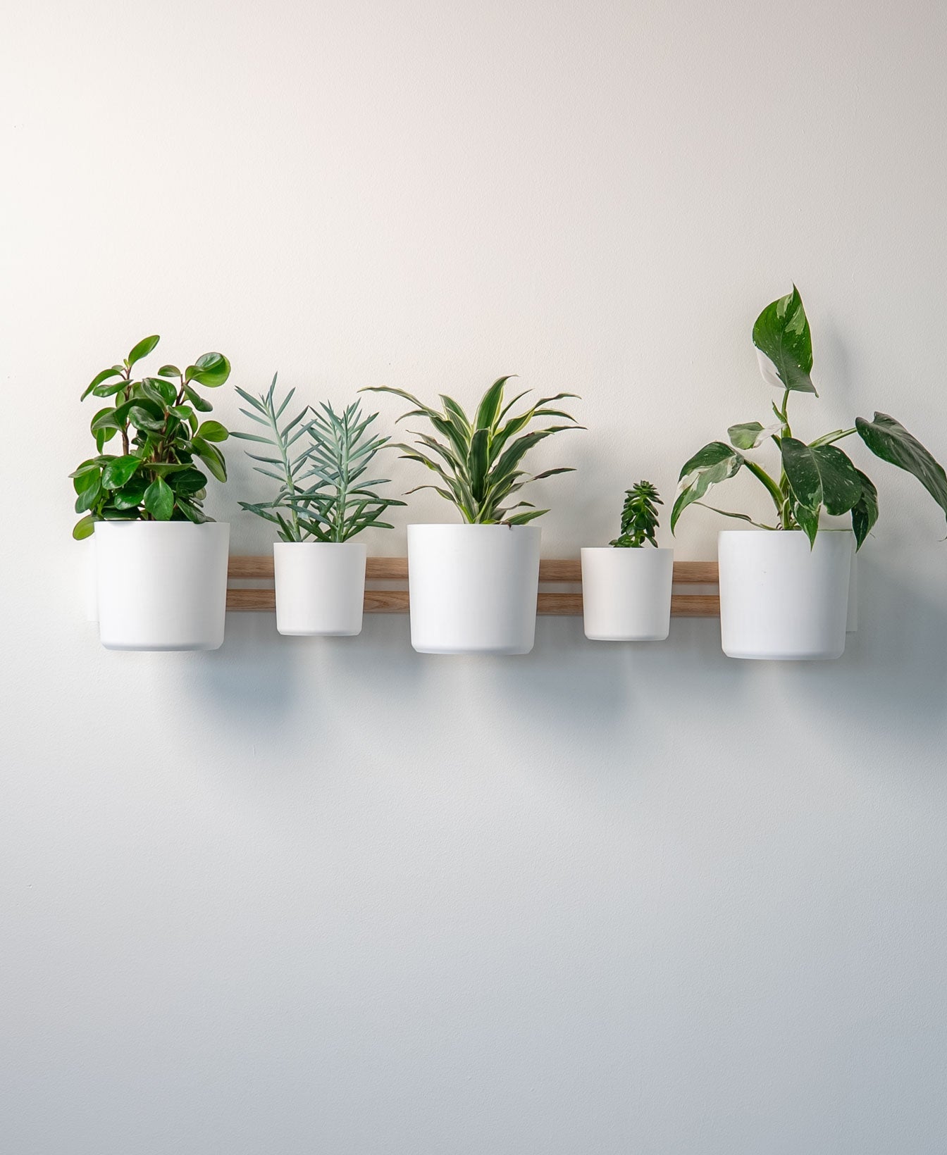 Design Teelichthalter & Atmosphärisches Licht - Evoliv