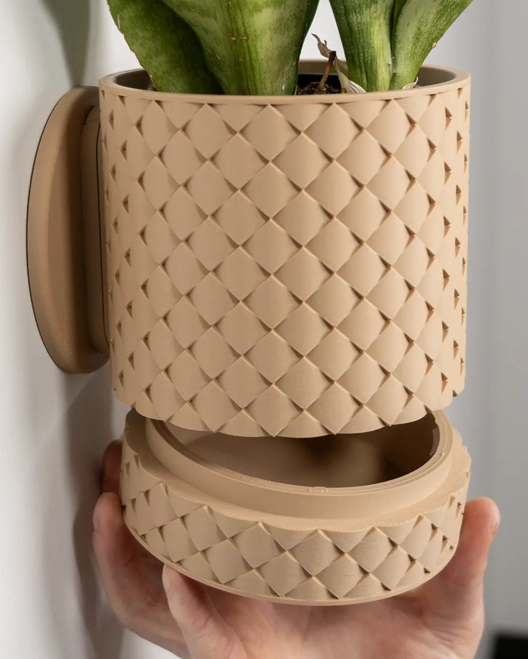 Evoliv Wandkollektion - Evoliv