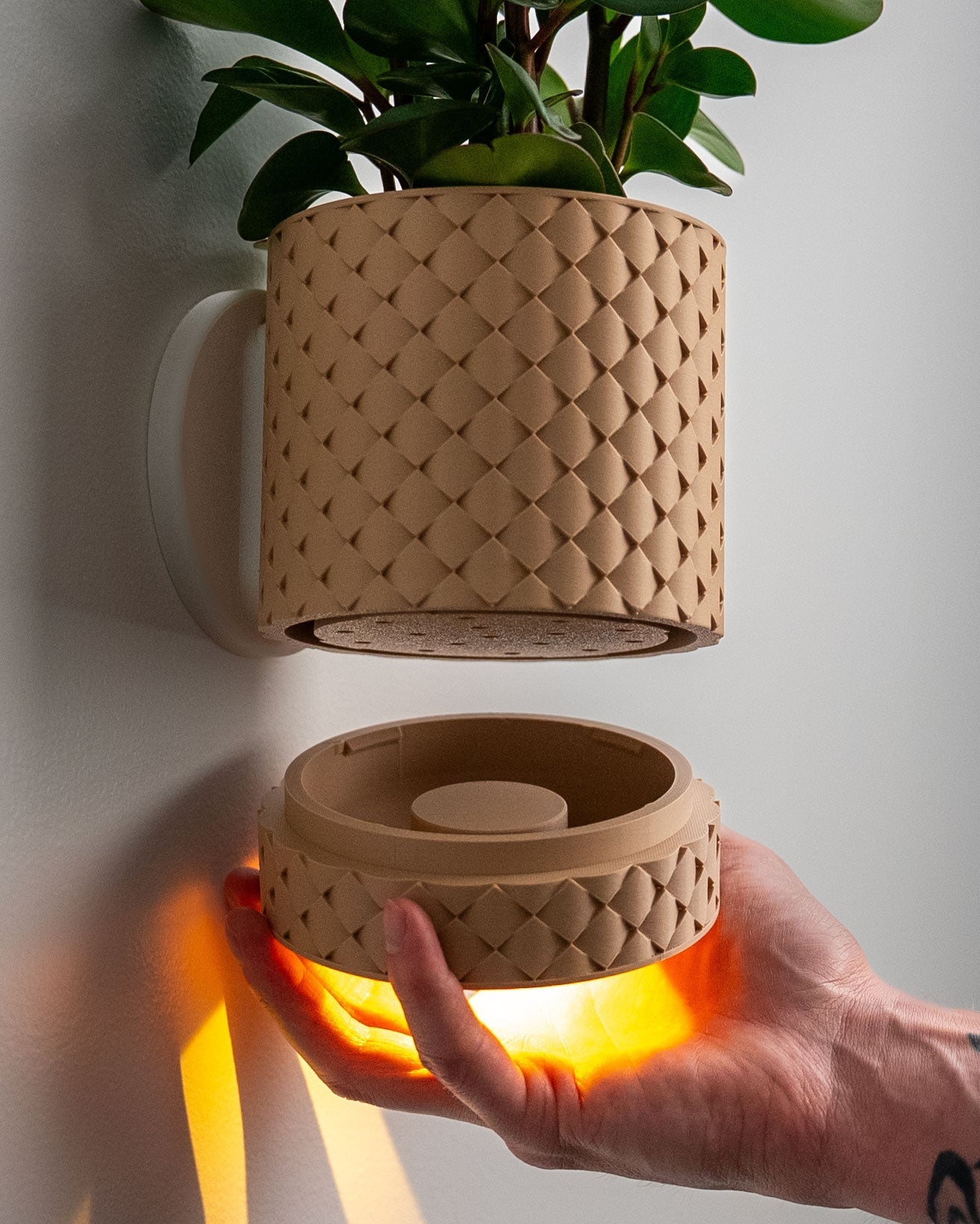 Evoliv Wandkollektion - Evoliv