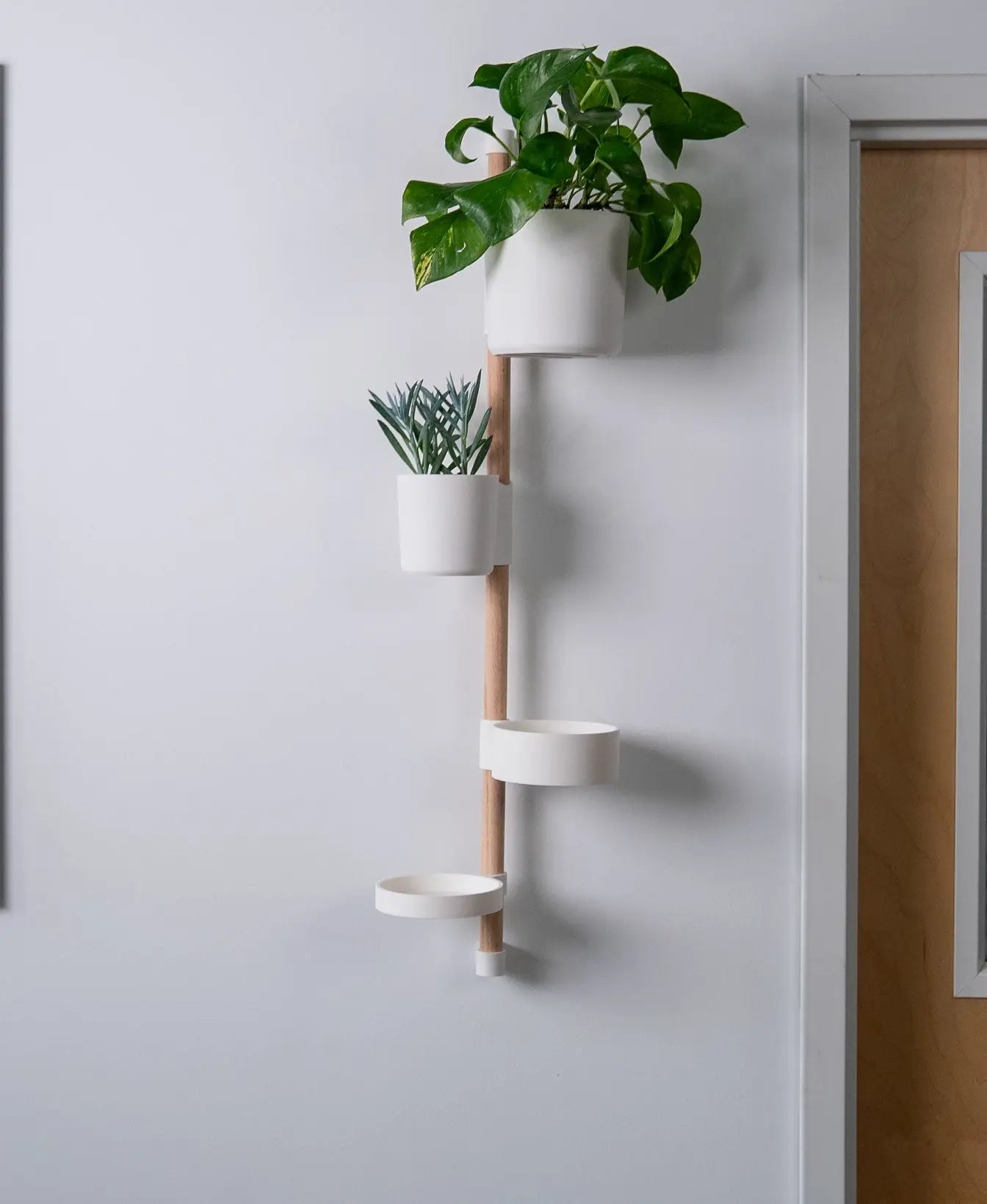 Evoliv Horizontal Rail – Ablage / Schale - Evoliv