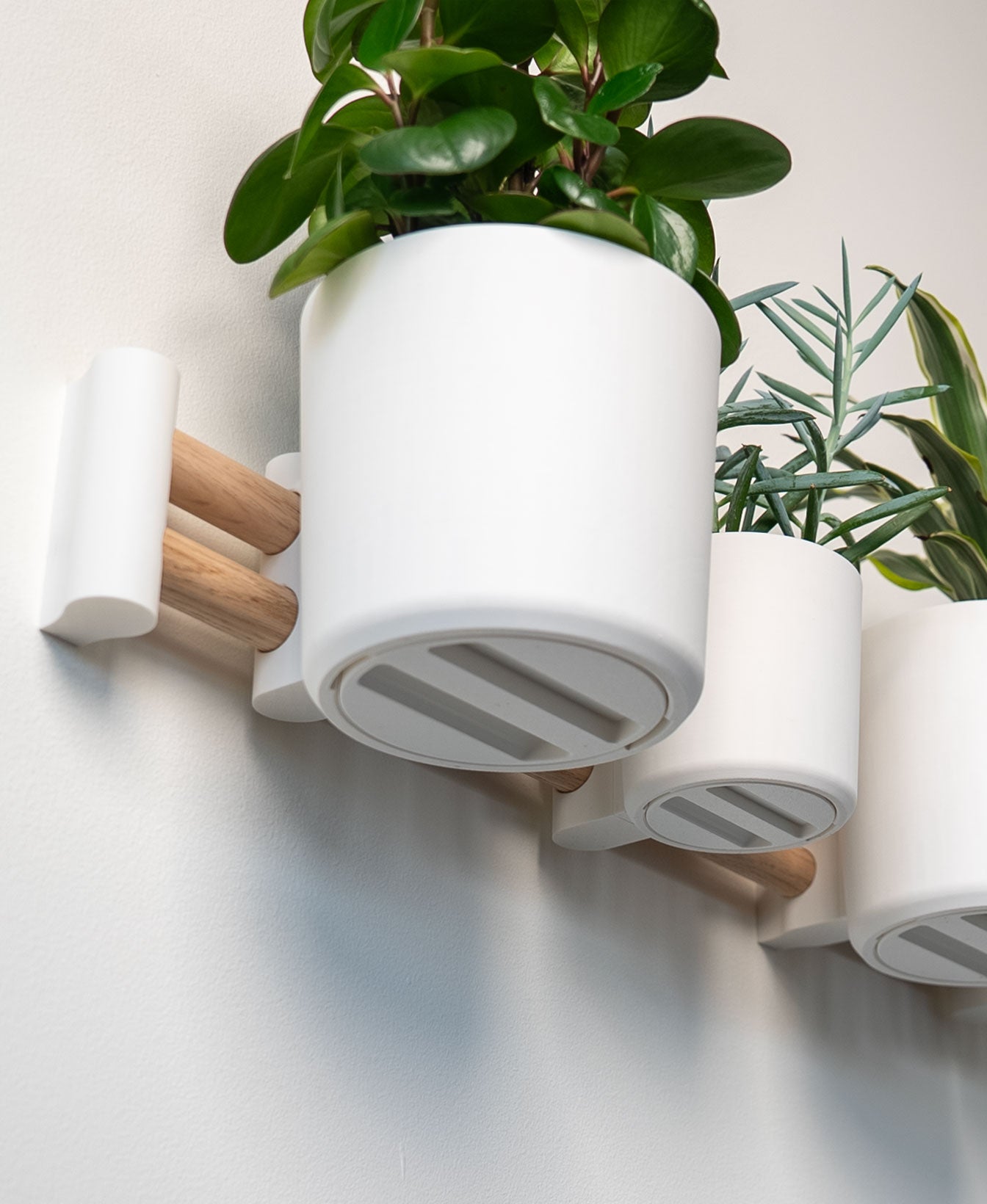 Modulare Wandhalterung für Pflanzen – Horizontale Design-Schiene