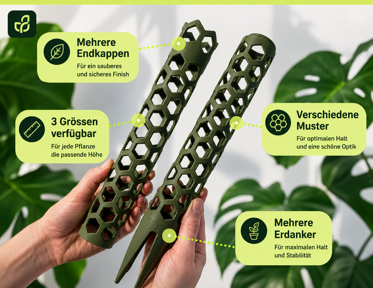Moosstab Set für Zimmerpflanzen – Pflanzenstütze mit Bewässerungsreservoir