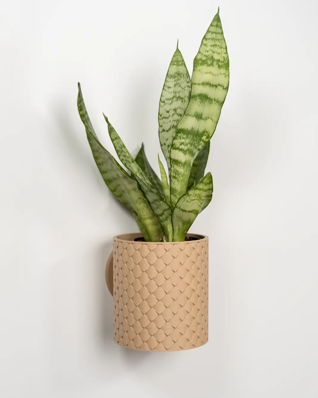 Evoliv Quilted Wandblumentopf mit Tropfschale, gepolstertes Design, ideal für Pflanzen an der Wand, in beiger Farbe.