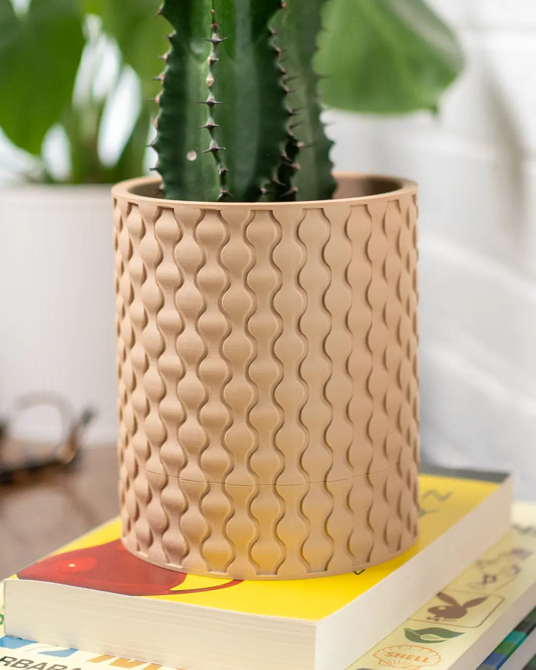 Evoliv Raindrop Tisch-Pflanzgefäss mit Tropfschale, modernes rundes Pflanzgefäss aus Kunststoff für den Tisch, mit Wasserablauf.