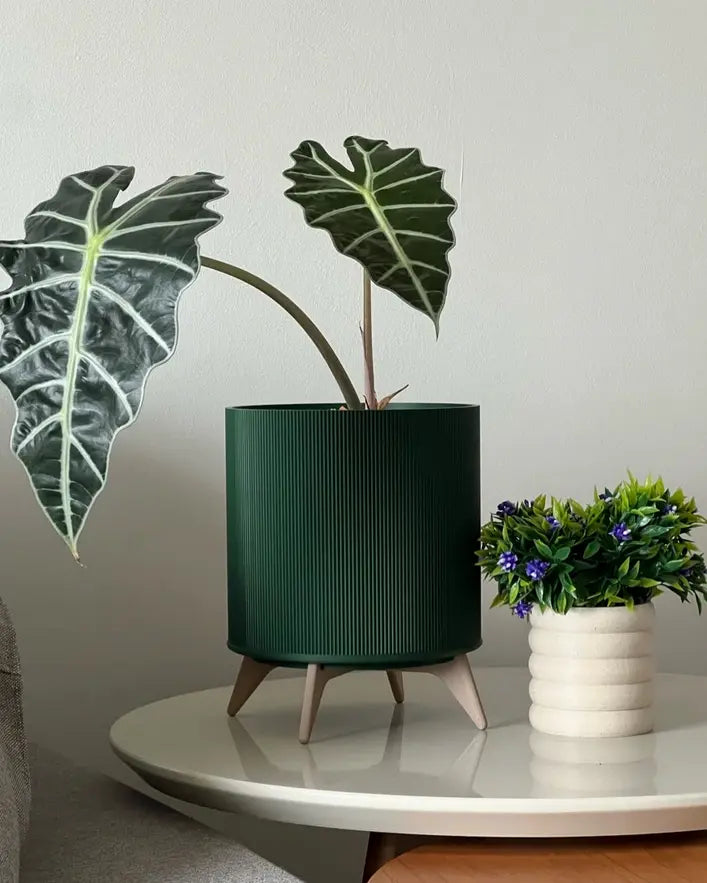 A dark green Zimmerpflanze with large, veined leaves sits in the Evoliv „The Tyler“ – Moderner Pflanztopf mit Ständer on a round white table next to a small white pot holding an artificial plant with green leaves and purple flowers.