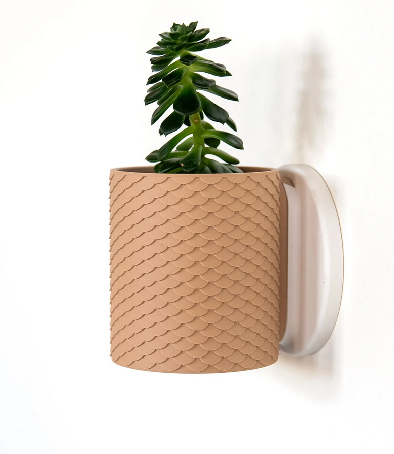 Beiger Wandpflanztopf mit schuppenförmiger Oberfläche und kleiner Sukkulente