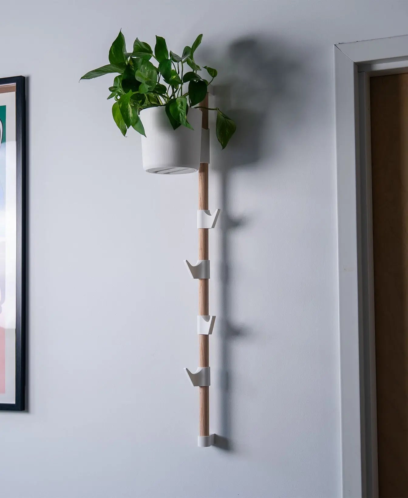 Evoliv Horizontal Rail System mit weissem Blumentopf und mehreren Haken an einer vertikalen Holzschiene zur Wandorganisation.
