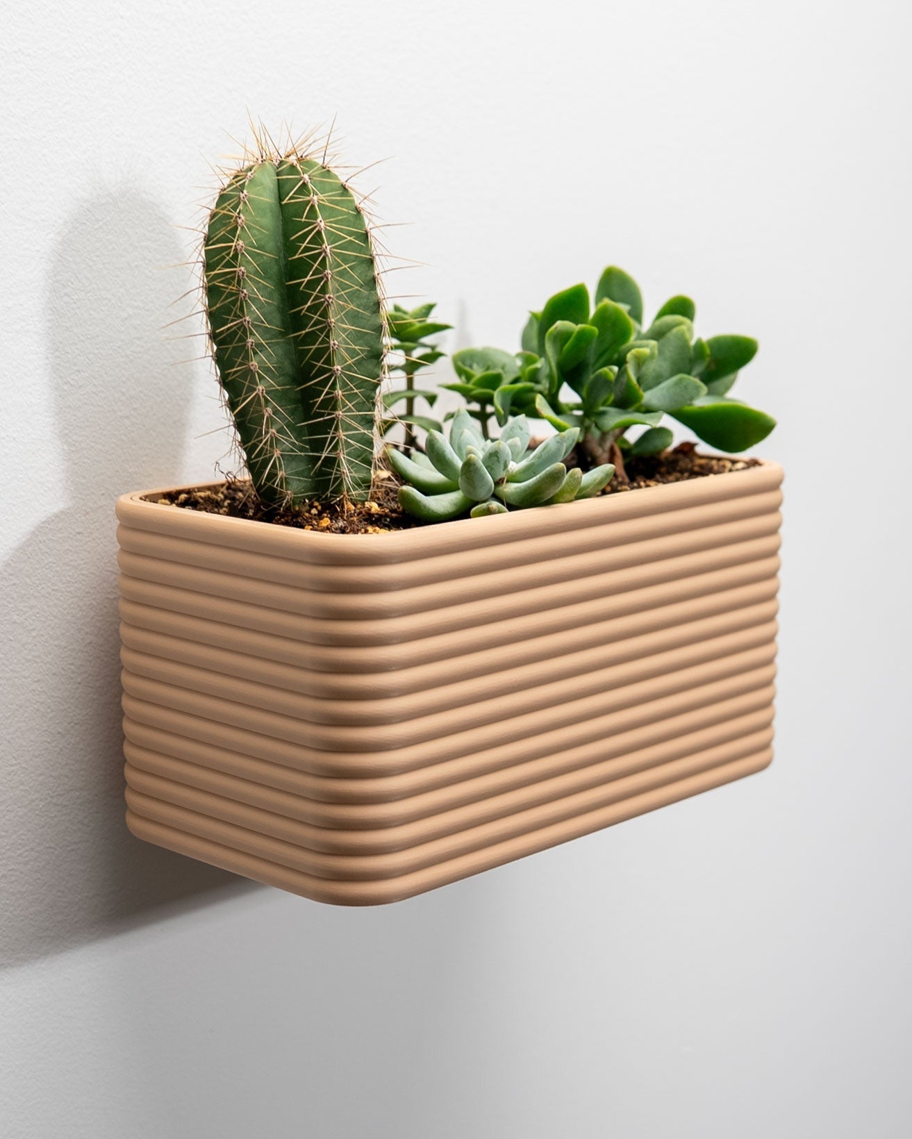 Evoliv „Poppy Kasten“ – Breiter Wandblumentopf mit Tropfschale – von Evoliv