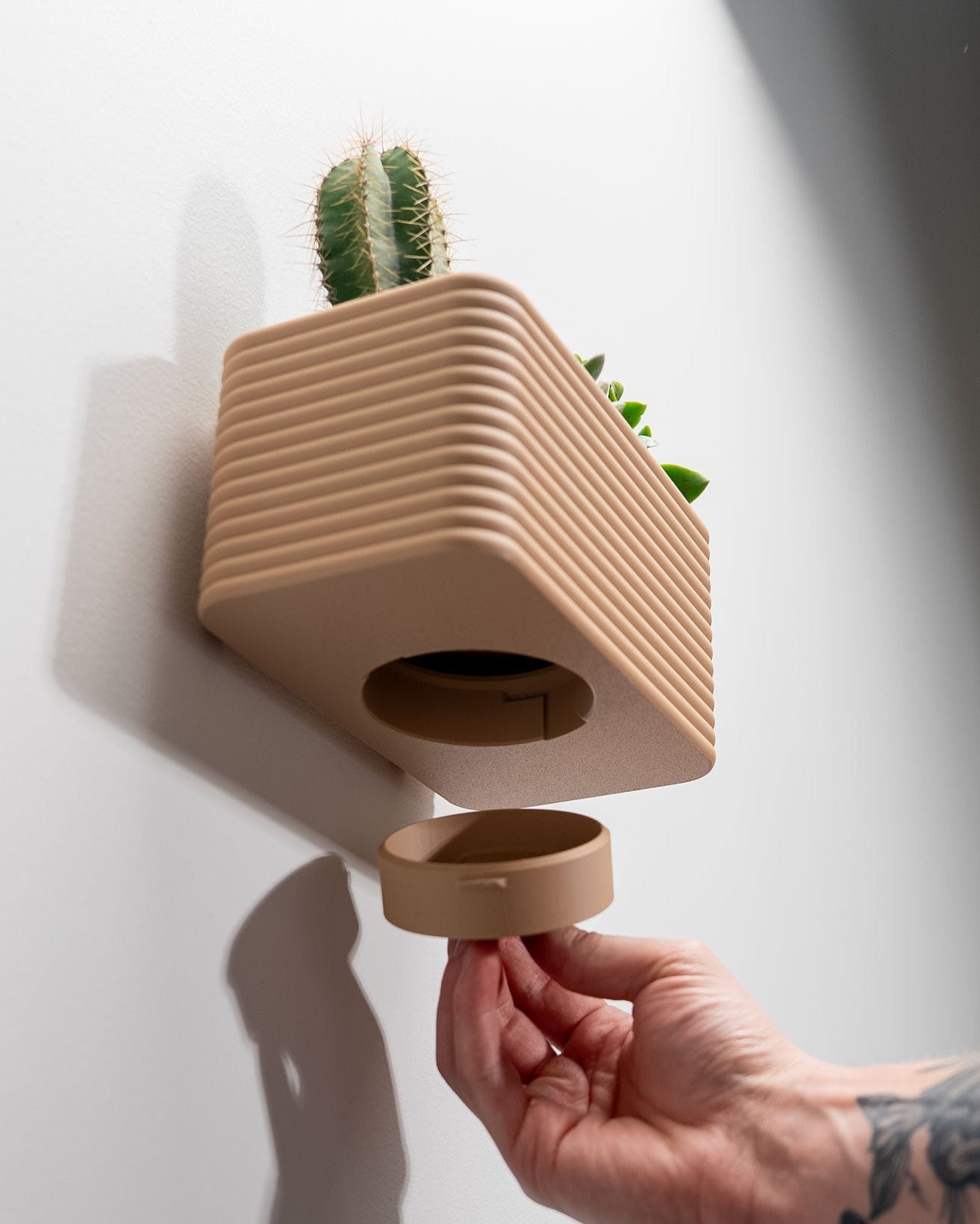 Evoliv „Poppy Kasten“ – Breiter Wandblumentopf mit Tropfschale – von Evoliv