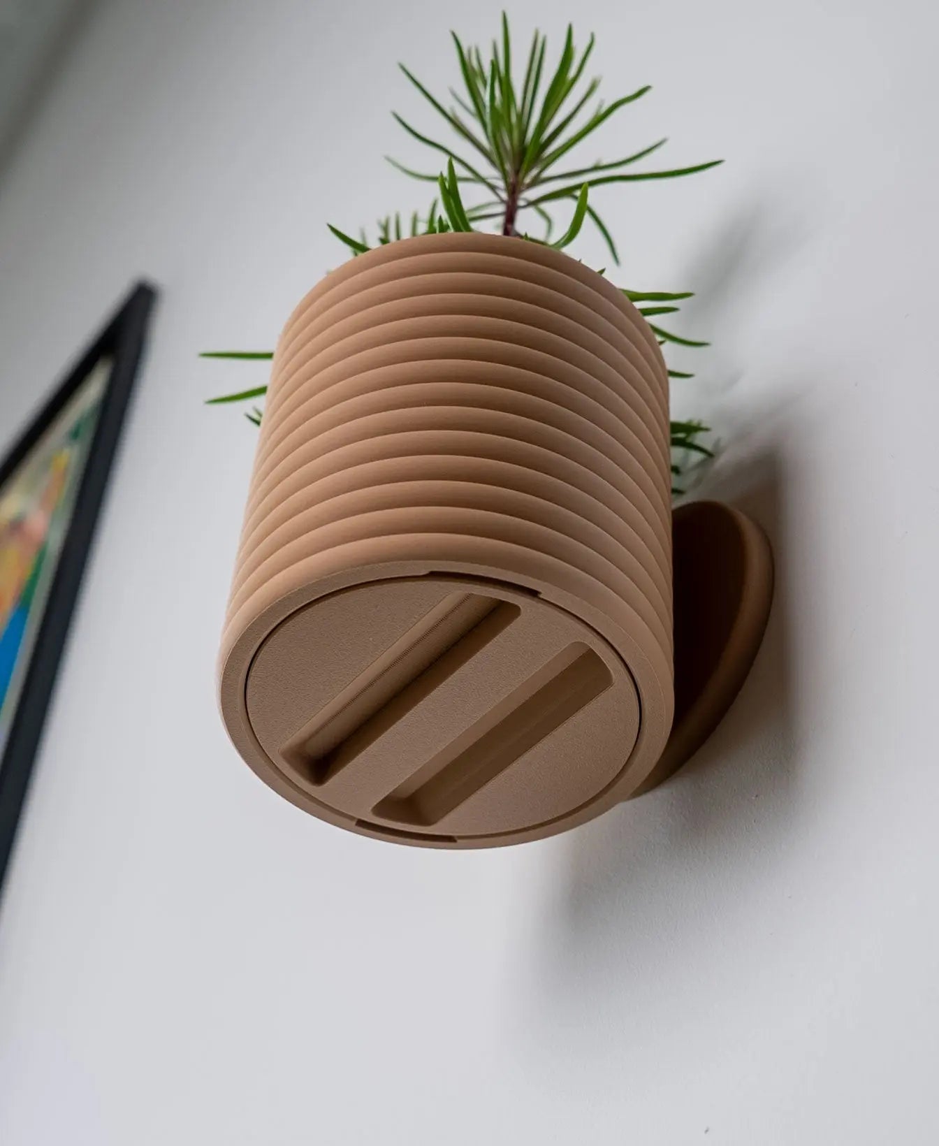 Evoliv Poppy Wandblumentopf mit Tropfschale, farbiger Wandhalter für Pflanzen, dekoratives Blumenarrangement an der Wand