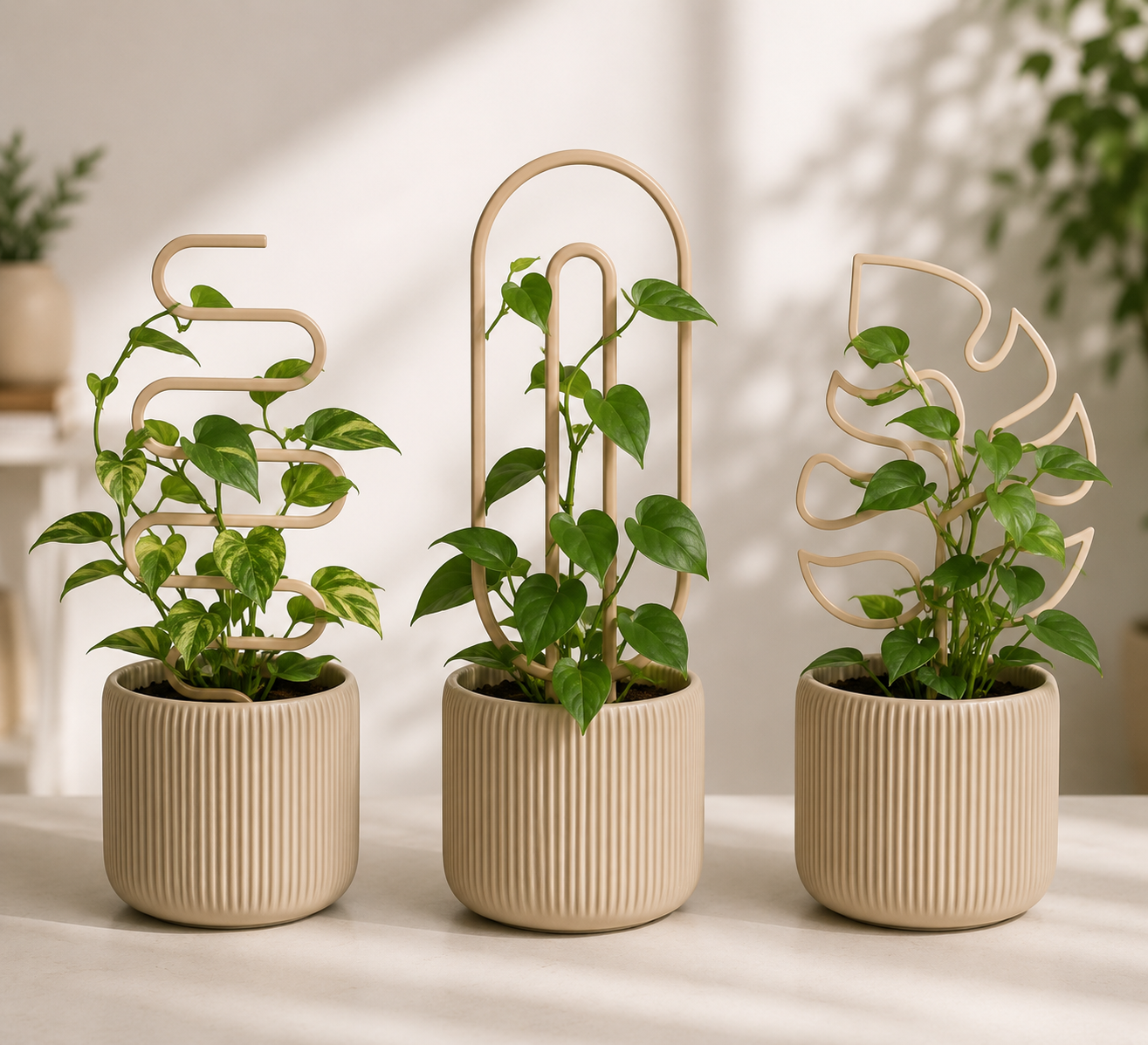 Modernes Pflanzenstützen-Set mit den Varianten Wave, Curve und Bloom in beiger Ausführung. Dekorative Rankhilfen für Zimmerpflanzen zur Unterstützung von Kletter- und Rankpflanzen im Wohnraum.